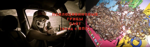 МДПВ Волосово
