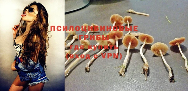 apvp Володарск