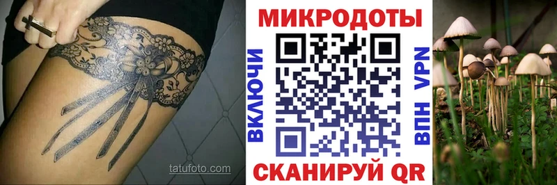 Купить  Костерёво  Галлюциногенные грибы GOLDEN TEACHER 